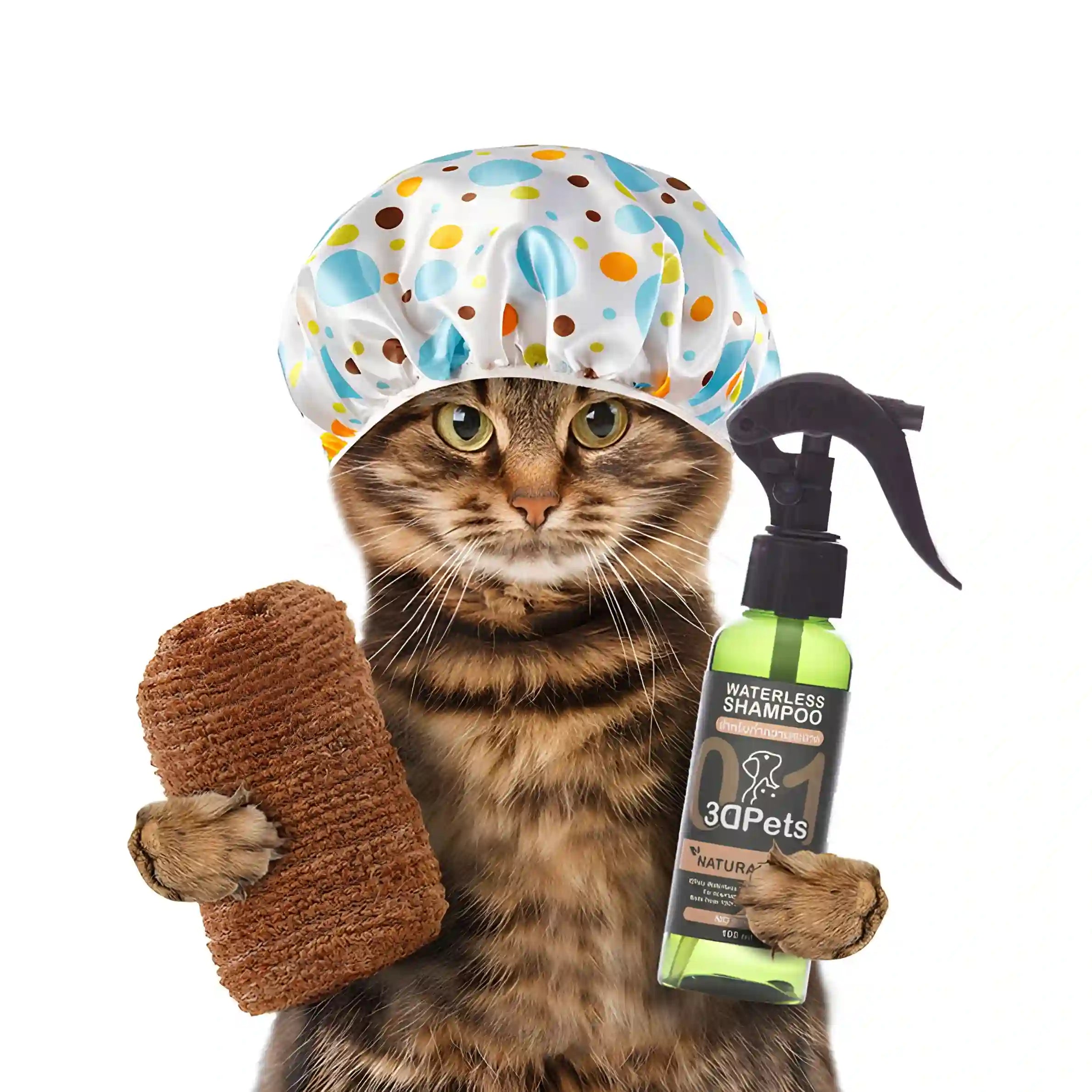 Pet Accessories